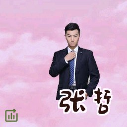 张哲